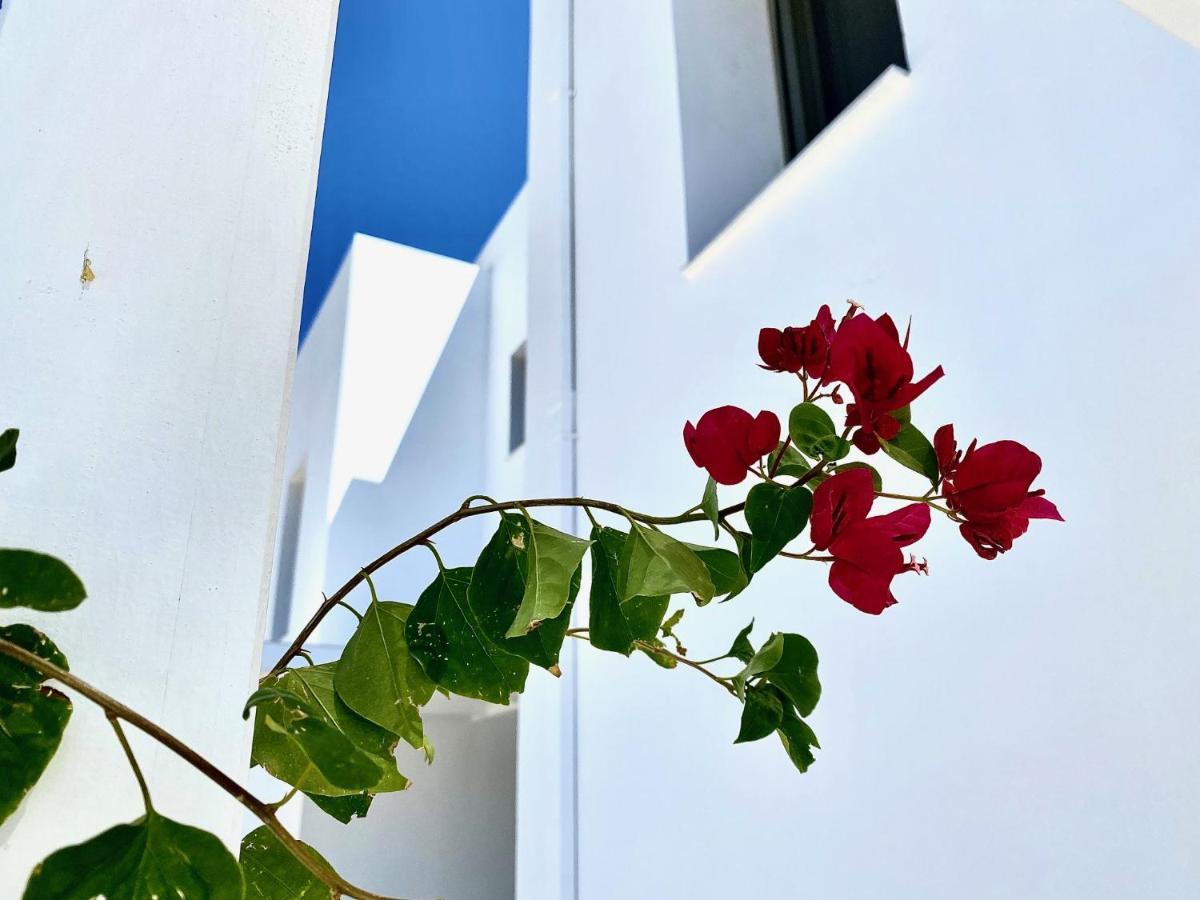 Gennadi Harmony Suites - 200 M From The Sea 外观 照片